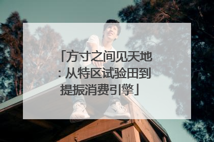 方寸之间见天地：从特区试验田到提振消费引擎