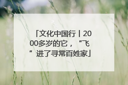 文化中国行丨2000多岁的它，“飞”进了寻常百姓家
