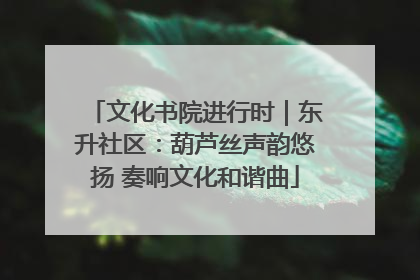 文化书院进行时｜东升社区：葫芦丝声韵悠扬 奏响文化和谐曲