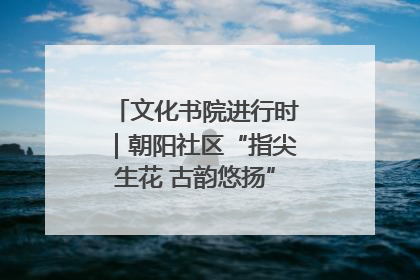 文化书院进行时｜朝阳社区“指尖生花 古韵悠扬”公益课堂开课了