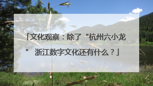 文化观察：除了“杭州六小龙” 浙江数字文化还有什么？