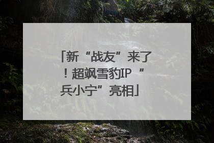 新“战友”来了！超飒雪豹IP“兵小宁”亮相