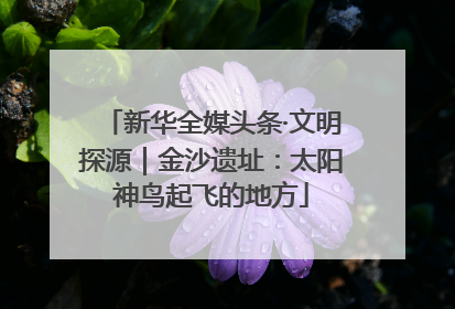 新华全媒头条·文明探源｜金沙遗址：太阳神鸟起飞的地方