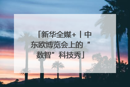 新华全媒+丨中东欧博览会上的“数智”科技秀