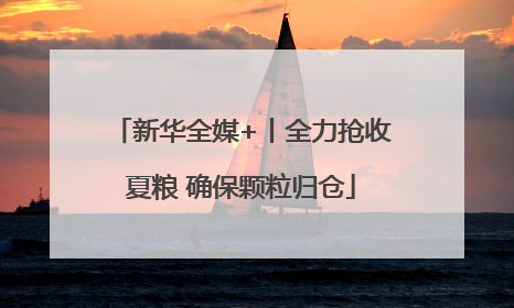 新华全媒+丨全力抢收夏粮 确保颗粒归仓