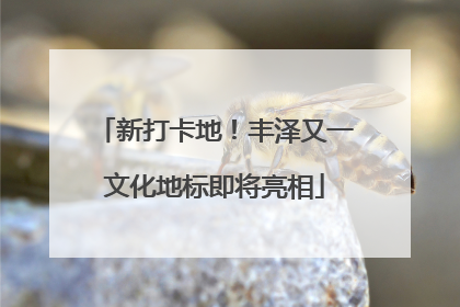 新打卡地！丰泽又一文化地标即将亮相