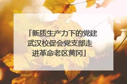 新质生产力下的党建 武汉校促会党支部走进革命老区黄冈