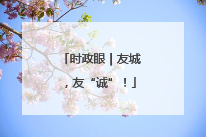 时政眼｜友城，友“诚”！
