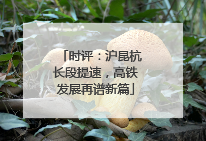 时评：沪昆杭长段提速，高铁发展再谱新篇