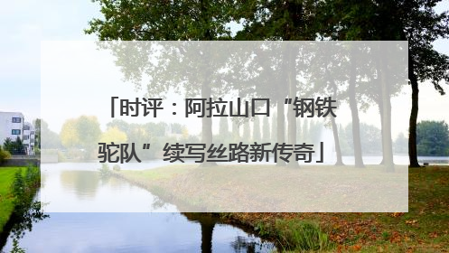 时评：阿拉山口“钢铁驼队”续写丝路新传奇