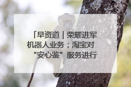 早资道｜荣耀进军机器人业务；淘宝对“安心鉴”服务进行逐步下线调整