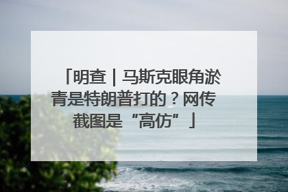 明查｜马斯克眼角淤青是特朗普打的？网传截图是“高仿”