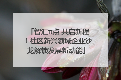 智汇π点 共启新程！社区新兴领域企业沙龙解锁发展新动能