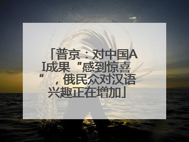 普京：对中国AI成果“感到惊喜”，俄民众对汉语兴趣正在增加