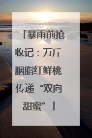 暴雨前抢收记：万斤胭脂红鲜桃传递“双向甜蜜”