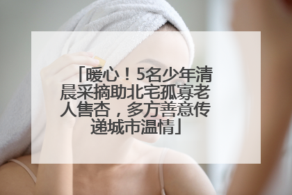 暖心！5名少年清晨采摘助北宅孤寡老人售杏，多方善意传递城市温情
