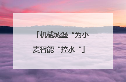 机械城堡“为小麦智能“控水“