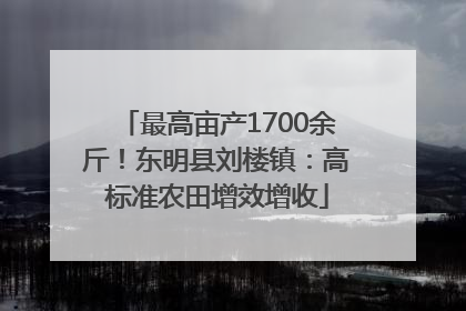 最高亩产1700余斤！东明县刘楼镇：高标准农田增效增收