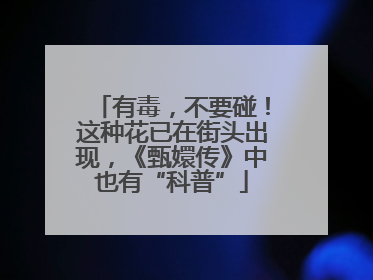 有毒，不要碰！这种花已在街头出现，《甄嬛传》中也有“科普”
