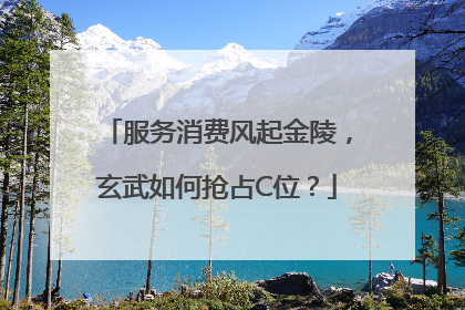 服务消费风起金陵，玄武如何抢占C位？