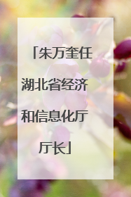 朱万奎任湖北省经济和信息化厅厅长