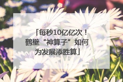 每秒10亿亿次！鹤壁“神算子”如何为发展添胜算