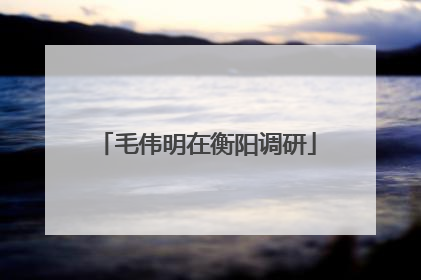 毛伟明在衡阳调研