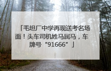 毛坦厂中学再现送考名场面！头车司机姓马属马，车牌号“91666”