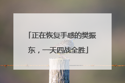 正在恢复手感的樊振东，一天四战全胜
