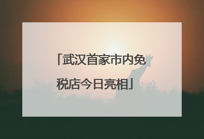 武汉首家市内免税店今日亮相