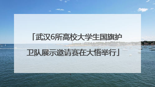 武汉6所高校大学生国旗护卫队展示邀请赛在大悟举行