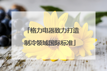 格力电器致力打造制冷领域国际标准