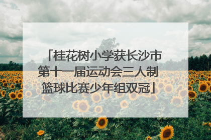桂花树小学获长沙市第十一届运动会三人制篮球比赛少年组双冠