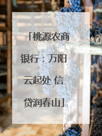 桃源农商银行：万阳云起处 信贷润春山