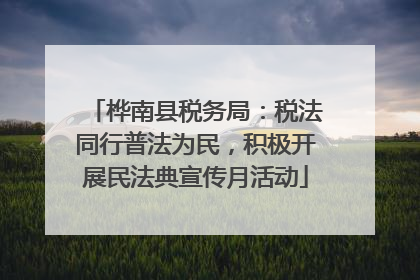 桦南县税务局：税法同行普法为民，积极开展民法典宣传月活动