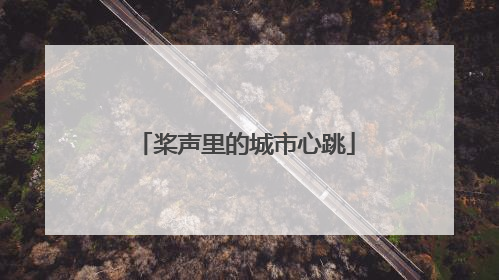桨声里的城市心跳