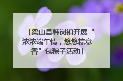梁山县韩岗镇开展“浓浓端午情，悠悠粽意香”包粽子活动