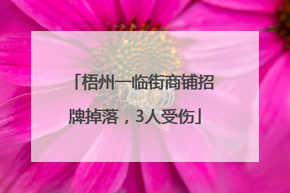 梧州一临街商铺招牌掉落，3人受伤