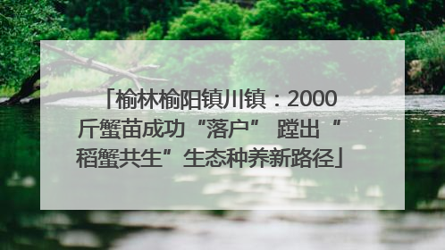 榆林榆阳镇川镇：2000斤蟹苗成功“落户” 蹚出“稻蟹共生”生态种养新路径