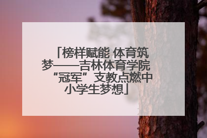 榜样赋能 体育筑梦——吉林体育学院“冠军”支教点燃中小学生梦想
