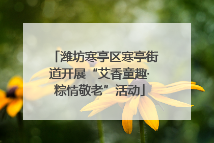 潍坊寒亭区寒亭街道开展“艾香童趣·粽情敬老”活动