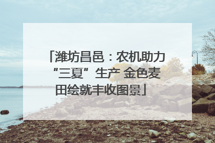 潍坊昌邑：农机助力“三夏”生产 金色麦田绘就丰收图景