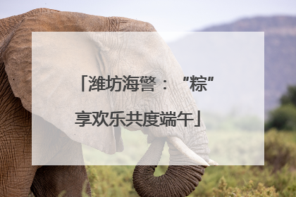 潍坊海警：“粽”享欢乐共度端午