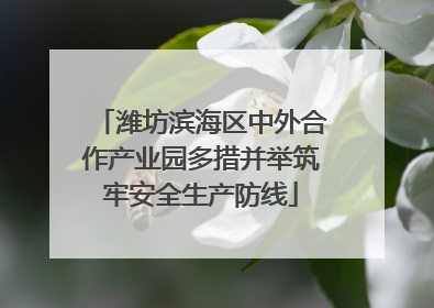 潍坊滨海区中外合作产业园多措并举筑牢安全生产防线