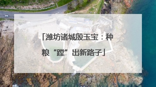 潍坊诸城殷玉宝：种粮“蹚”出新路子