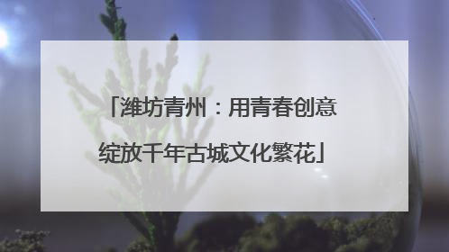 潍坊青州：用青春创意绽放千年古城文化繁花