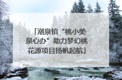 潮泉镇“桃小美·泉心办”助力梦幻桃花源项目扬帆起航