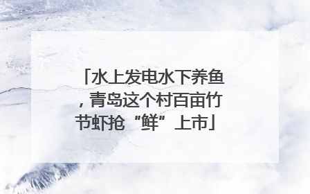 水上发电水下养鱼，青岛这个村百亩竹节虾抢“鲜”上市