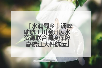 水润蜀乡丨调峰助航！川渝开展水资源联合调度保障嘉陵江大件航运