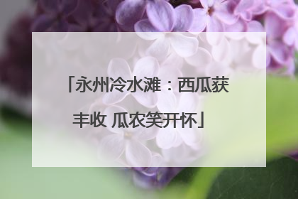 永州冷水滩：西瓜获丰收 瓜农笑开怀